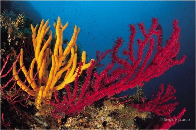  sicilia bajo el agua
